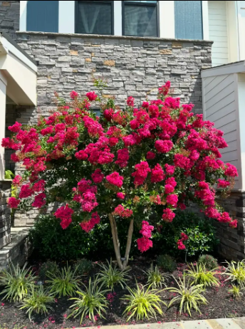 Landscape design
