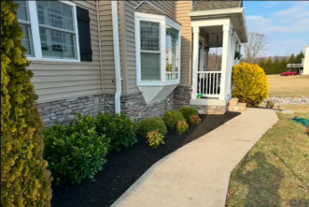 Landscape project