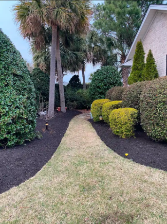 Garden pathway